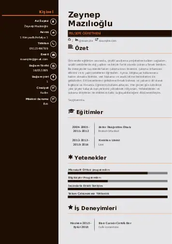 Felsefe Öğretmeni CV Örnekleri cv indir